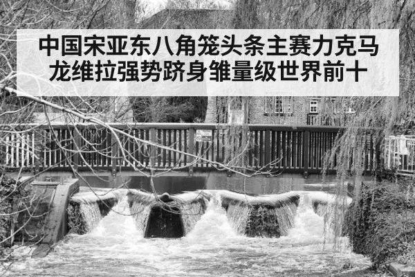 中国宋亚东八角笼头条主赛力克马龙维拉强势跻身雏量级世界前十